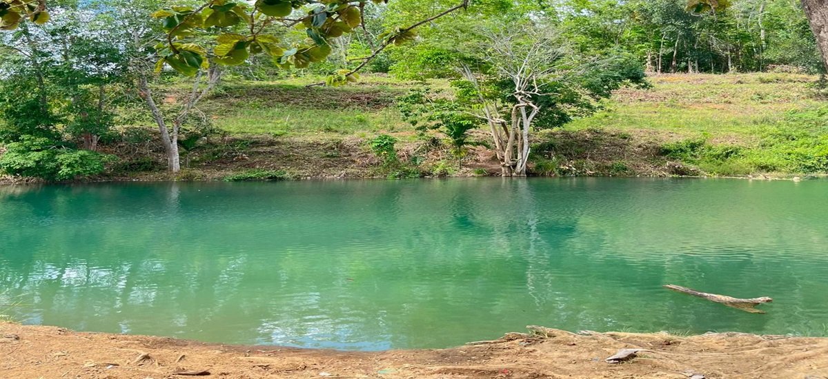 Danau Siombun